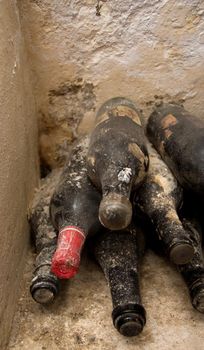 vineyard cellar with old bottles