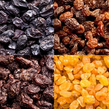 different varieties of raisins close up background