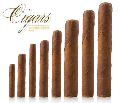 isolated cigars all sizes on a white background