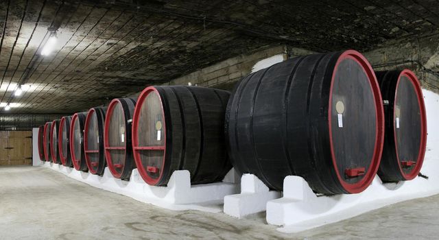 wine barrels in the cellars 