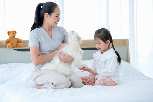 Little Asian girl hold and touch leg of her dog and stay on bed with mother with happiness.