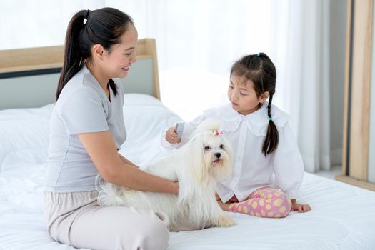 Little girl use comb to brush hair of white dog also stay on bed with her mother with happiness.