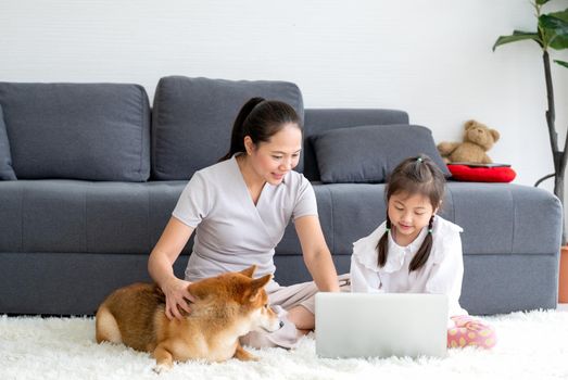 Shiba inu dog interest in little girl has fun with laptop and also sit near her mother at living room during stay at home to prevent infection of disease pandemic outside.