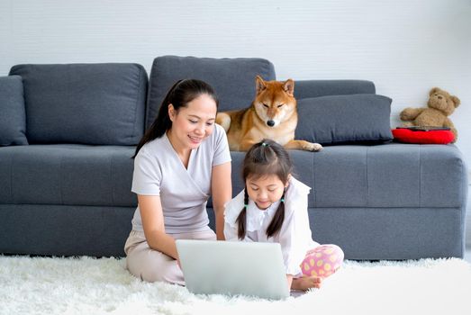 Asian mother and little girl look at laptop and their shiba dog stay on sofa also interest in laptop by looking the monitor. Concept of happy Asian family stay together during pandemic of disease.