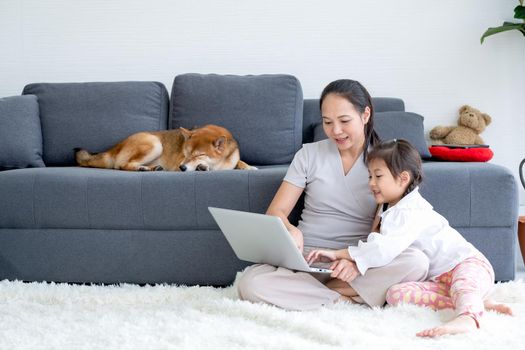 Asian woman and little girl enjoy together in living room by using laptop and sit on the floor while their shiba dog lie on sofa.