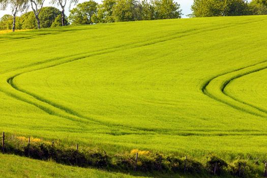 Field in Luxembourg.   Luxembourg.