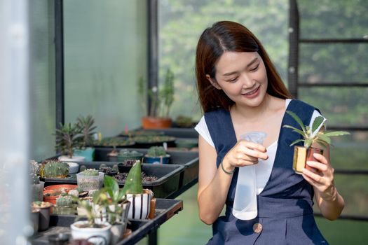 Beautiful Asian girl hold foggy bottle for spraying water to plant in small pot and sit in green garden in her house with sustainable and small business concept.