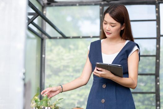 Beautiful Asian girl hold tablet to check quality and physical of plant product in her green garden of her house. Sustainable with business work involve with plant of flora concept.