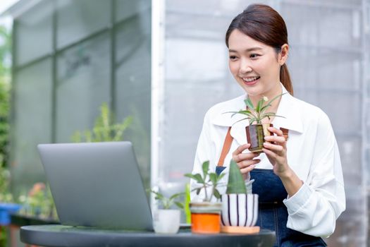 Beautiful Asian girl hold pot of plant and present to laptop on table in front green garden of her house look like online business.