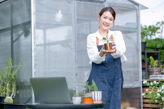 Beautiful Asian girl hold plant product and show to camera also stand in front of greenhouse workplace area