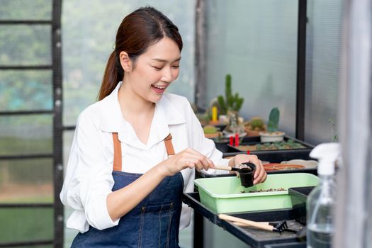 Beautiful Asian girl use tools to grow cactus in greenhouse in home area with happiness emotion.