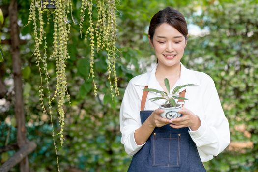 Beautiful Asian girl hold pot of plant and look at it, also stand in front green wall in her house. Sustainable with small business relate to plant concept.