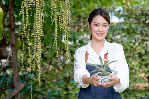 Beautiful Asian girl hold pot of plant and present to camera stand in front green wall in her house. Sustainable with grow cactus and other plant concept.