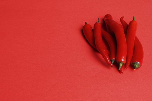 Pepper pod red isolated on a red background. High quality photo