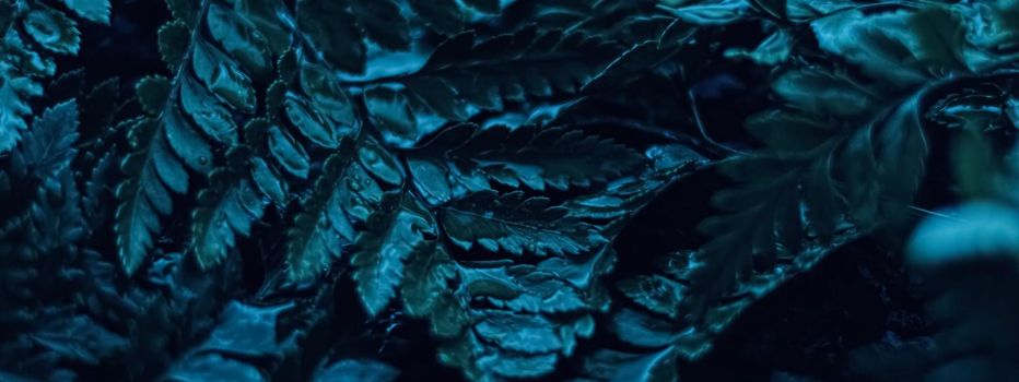 Blue plant leaves at night as surreal botanical background, minimal design backdrop