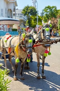 Horse carriages. Walking in a cart through the streets of Buyukada island. Attraction for tourists.