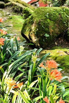 Leafy and green gardens with large trees in Sintra, Lisbon