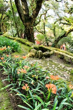 Leafy and green gardens with large trees in Sintra, Lisbon