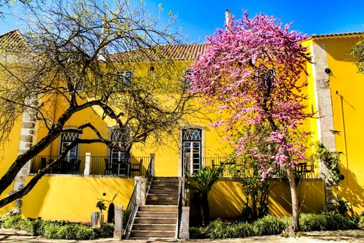 Beautiful yellow house with colorful garden in Oeiras, Lisbon, Portugal