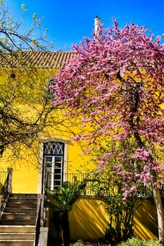 Beautiful yellow house with colorful garden in Oeiras, Lisbon, Portugal