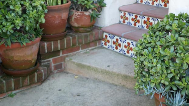 Succulents in flowerpot, gardening in California USA. Green house plants, clay pots. Mexican garden design, arid desert decorative floriculture. Botanical ornamental greenery. Colorful tile on stairs.