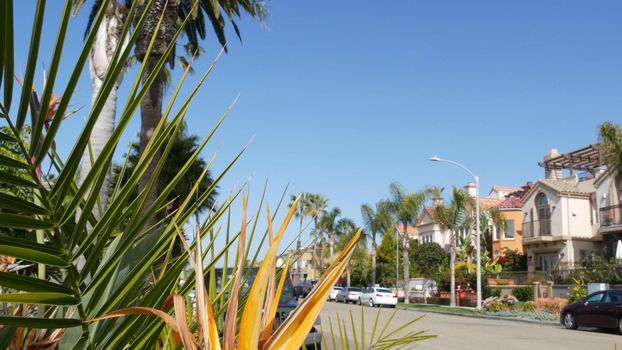 California typical suburban street, tropical Oceanside USA. Different colorful houses row. Generic american homes, buildings facade, townhouse exterior architecture. Residential district real estate.