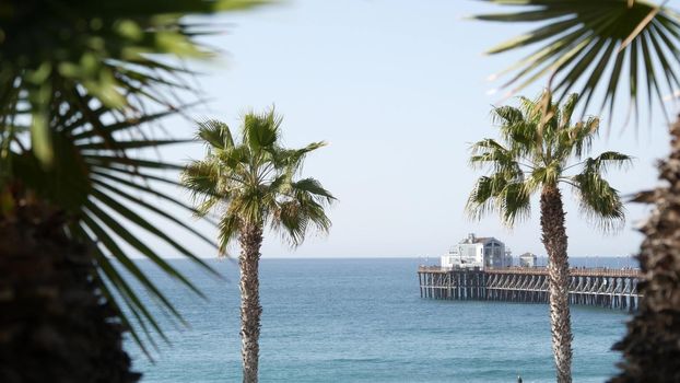 Pacific ocean beach, green palm trees and pier. Sunny day, tropical waterfront resort. Vista viewpoint in Oceanside, near Los Angeles California USA. Summer sea coast aesthetic, seascape and blue sky.