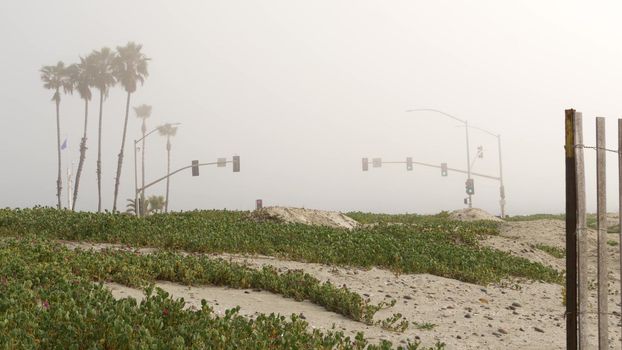 Traffic light semaphore, highway road by sandy misty beach, Encinitas California USA. Pacific ocean coast, fog on sea shore. Coastline near Los Angeles, palms in smog haze. Gloomy weather on shoreline
