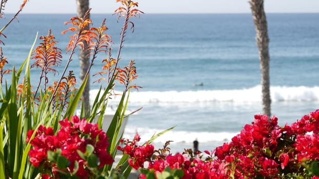 Pacific ocean beach, palm trees, flowers and pier. Sunny day, tropical waterfront resort. Oceanside vista viewpoint near Los Angeles California USA. Summer sea coast aesthetic, seascape and tide waves