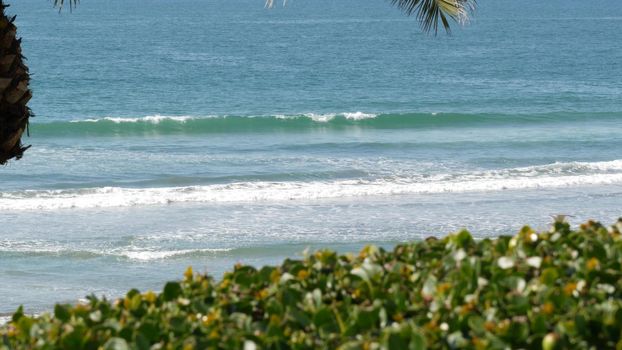 Pacific ocean tide, California tropical beach resort vibes, USA. Sea waves foam, green exotic palm tree leaf on sunny day. Coast summer vacations atmosphere, summertime aesthetic. Blue water surface.