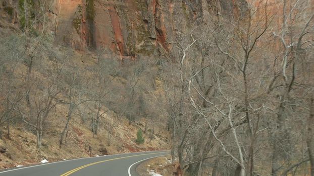 Road trip, driving auto in Zion Canyon, Utah, USA. Hitchhiking traveling in America, autumn journey. Red alien steep cliffs, rain and bare trees. Foggy weather and calm fall atmosphere. View from car.