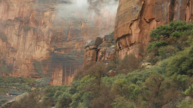 Road trip, driving auto in Zion Canyon, Utah, USA. Hitchhiking traveling in America, autumn journey. Red alien steep cliffs, rain and bare trees. Foggy weather and calm fall atmosphere. View from car.