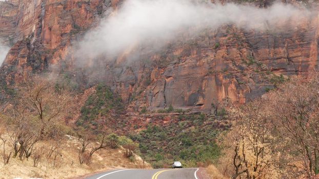 Red steep cliffs in Zion Canyon, Utah, USA. Hitchhiking trip, traveling in America, autumn journey. Rain, rocks and bare trees. Foggy weather and calm fall atmosphere. Road with yellow dividing line.