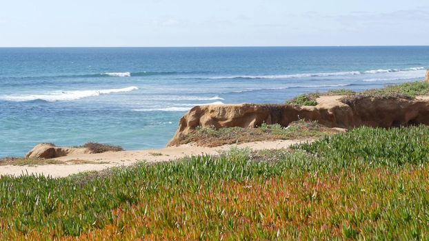 Seascape vista point, viewpoint in Carlsbad, California coast USA. Frome above panoramic ocean tide, blue sea waves, steep eroded cliff. Coastline shoreline overlook. Green ice plant succulent lawn.