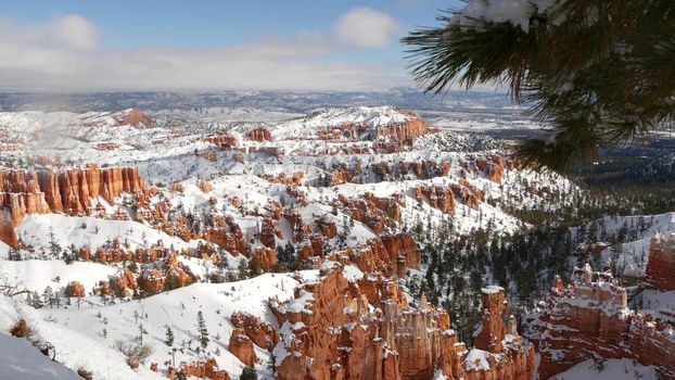 Bryce Canyon in winter, snow in Utah, USA. Hoodoos in amphitheater, eroded relief, panoramic vista point. Unique orange formation. Red sandstone and coniferous pine or fir tree. Eco tourism in America