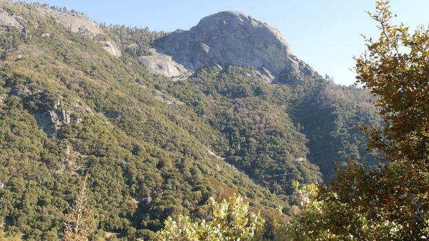 Panoramic view from Moro Rock in Sequoia forest national park, Northern California, USA. Overlooking old-growth woodland, coniferous trees on mountains of Sierra Nevada. Viewpoint near Kings Canyon.