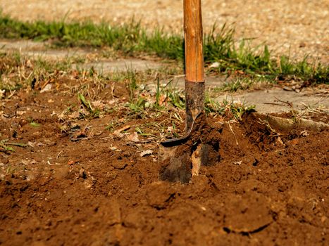 Shovel made of metal cloth with wooden handle stands in dug up brown ground. Selective focus