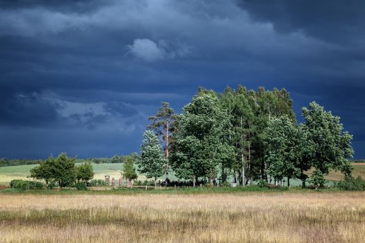 Landscape of Lithuanian old burying ground with gloomy sky before the storm 
