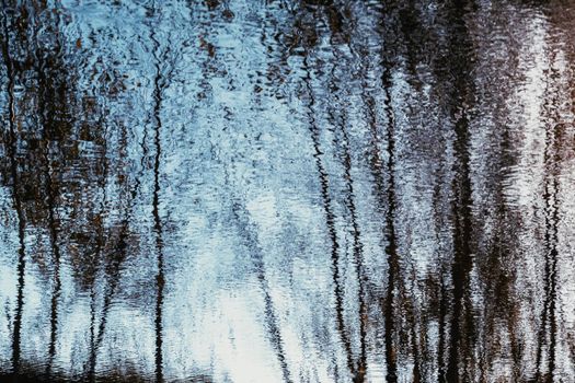 Reflection of birch trees in the blue water