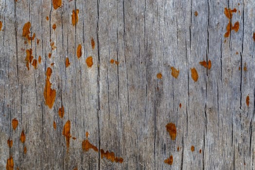 old gray wood macro texture with rusted spots.