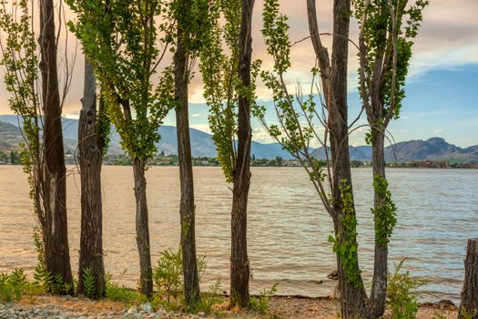 Golden sunset on Osoyoos lake. Summer season in Okanagan valley.