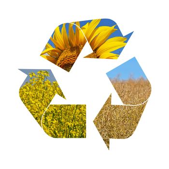 Illustration recycling symbol of agriculture crop, sunflower, soya, rapeseed, isolated on white background