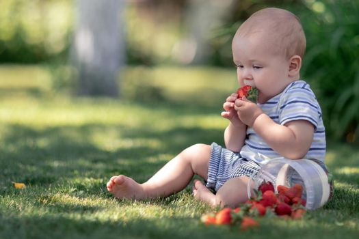 Cute baby sitting on the grass in the garden and taste strawberries