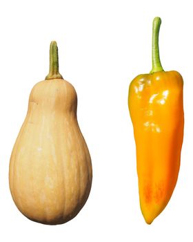 pepper and pumpkin vegetables isolated over white background