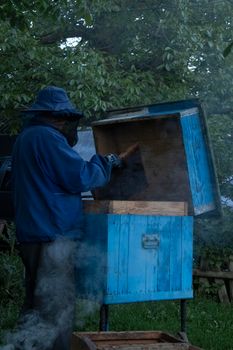 beekeeper works with the bees in hives. beekeeping. apiculture concept. High quality photo