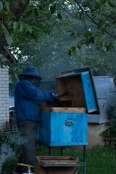 beekeeper works with the bees in hives. beekeeping. apiculture concept. High quality photo