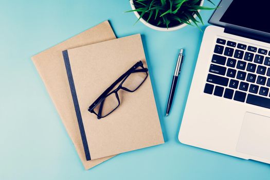 Flat lay of Laptop computer and plant and pen on desk in office, workplace and notebook and glasses and potted tree and book, workspace and copy space, top view, object with above, business concept.