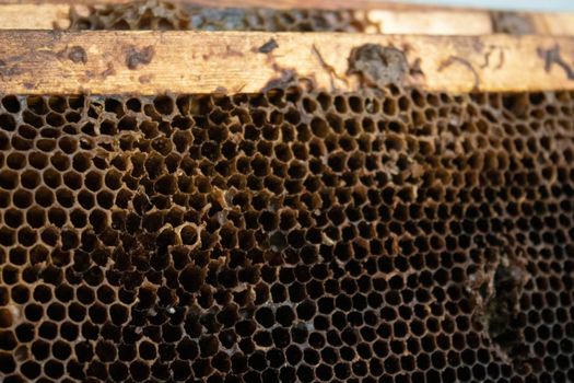 used honeycombs. houses of bees - hive. beekeeping. beekeeper. apiculture concept. High quality photo