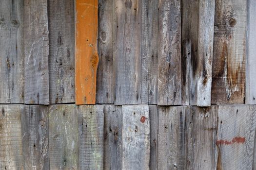 vertical gray messy wooden planks with one brown - wall suface texture and background.