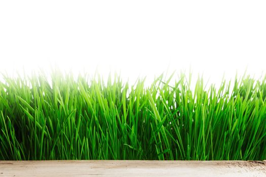 Fresh green grass and empty wooden table with place for product isolated on white background